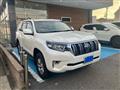 2019 Toyota Land Cruiser Prado