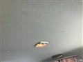 2007 Nissan Cube