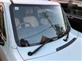 2011 Suzuki Lapin