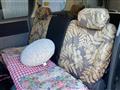 2007 Toyota Noah
