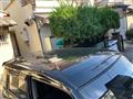 2010 Honda ZEST SPARK