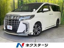 2019 Toyota Alphard G