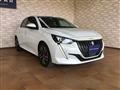 2020 Peugeot Peugoet Others