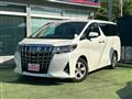 2019 Toyota Alphard G