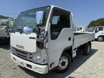 2020 Isuzu Elf Truck