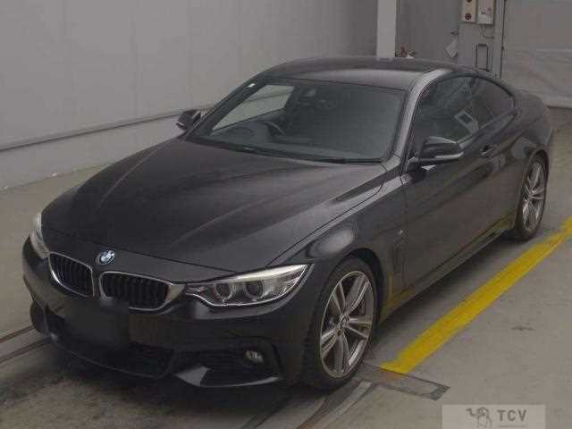 2015 BMW BMW Others