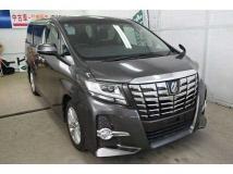 2017 Toyota Alphard G