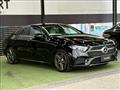 2019 Mercedes-Benz Cls-Class