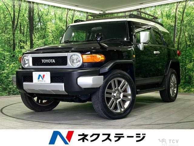 2011 Toyota FJ Cruiser
