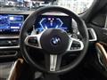 2025 BMW X6