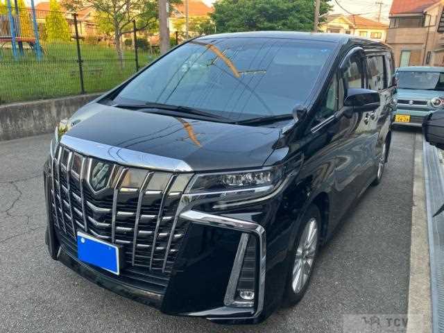 2019 Toyota Alphard G