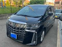 2019 Toyota Alphard G