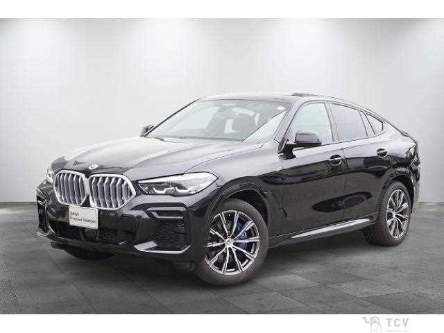 2022 BMW X6