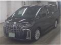 2019 Toyota Alphard G