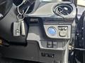 2019 Toyota Corolla Fielder