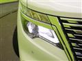 2021 Nissan Elgrand
