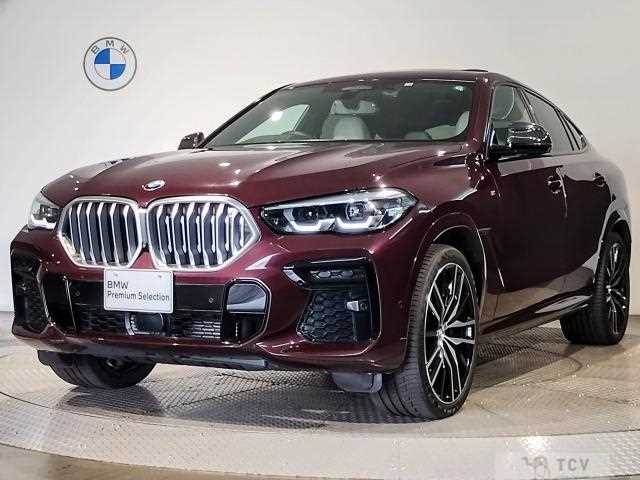 2023 BMW X6