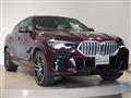 2023 BMW X6