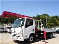 2012 Isuzu Elf Truck