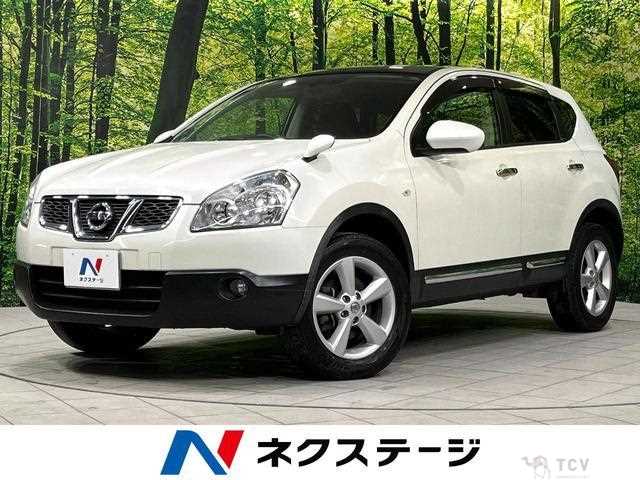 2013 Nissan Dualis