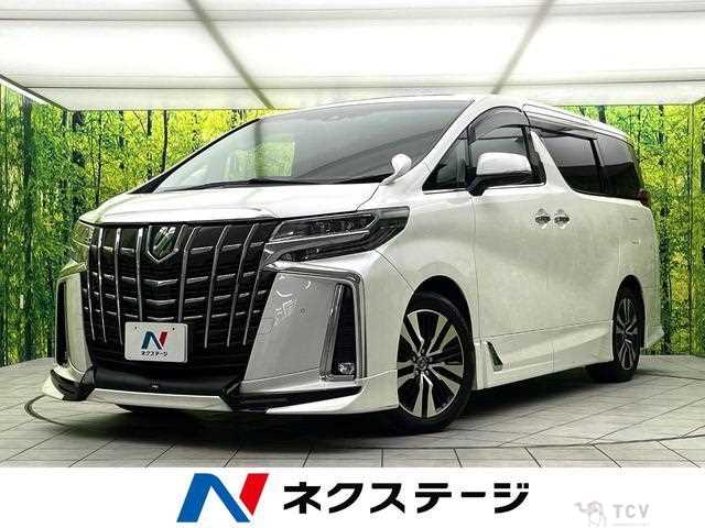 2019 Toyota Alphard G