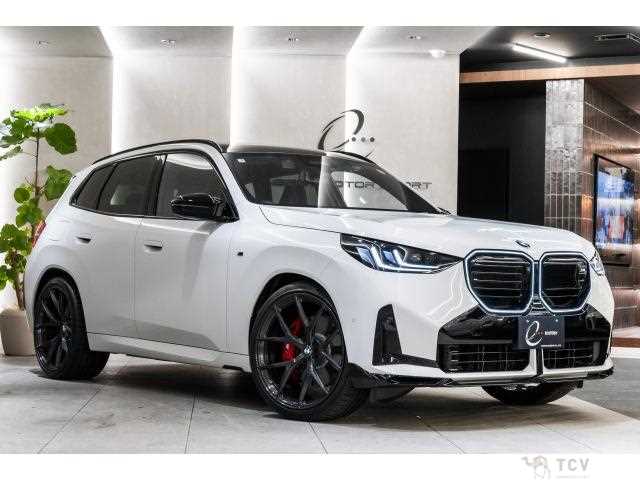 2025 BMW X3