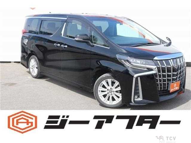 2019 Toyota Alphard G