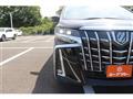 2019 Toyota Alphard G
