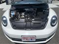 2014 Volkswagen Beetle