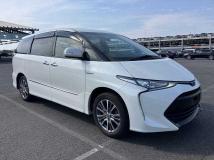 2019 Toyota Estima Hybrid