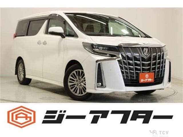 2019 Toyota Alphard G