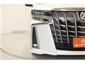 2019 Toyota Alphard G