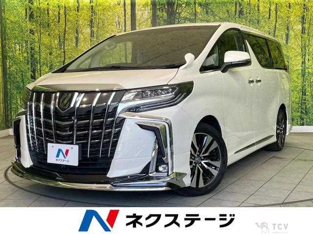 2019 Toyota Alphard G
