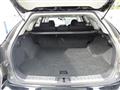 2010 Lexus RX