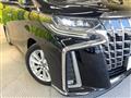 2019 Toyota Alphard G