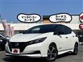 2018 Nissan Leaf