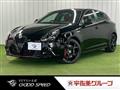 2020 Alfa Romeo Alfa Romeo Others