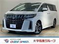 2021 Toyota Alphard G
