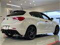 2019 Alfa Romeo Alfa Romeo Others