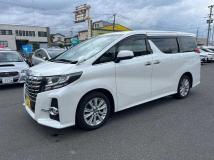 2018 Toyota Alphard G