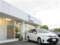 2021 Toyota Corolla Fielder