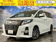 2015 Toyota Alphard G