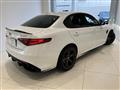 2019 Alfa Romeo Alfa Romeo Others