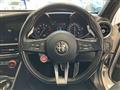 2019 Alfa Romeo Alfa Romeo Others