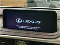 2019 Lexus RX