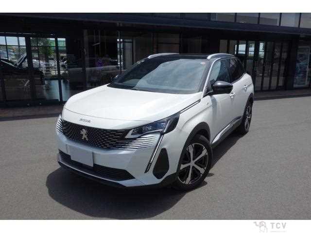 2021 Peugeot Peugoet Others