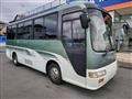 2004 Toyota Coaster R