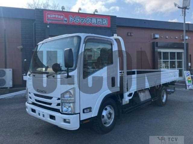 2019 Isuzu Elf Truck