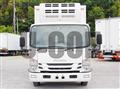2019 Isuzu Elf Truck