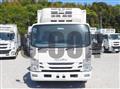 2019 Isuzu Elf Truck
